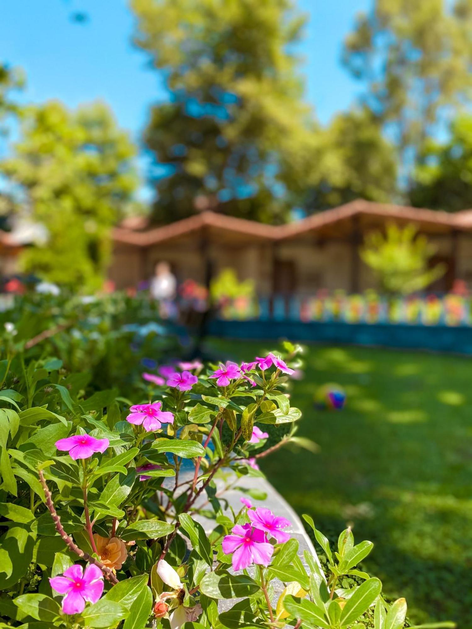 Hotel Likya Adrasan Esterno foto